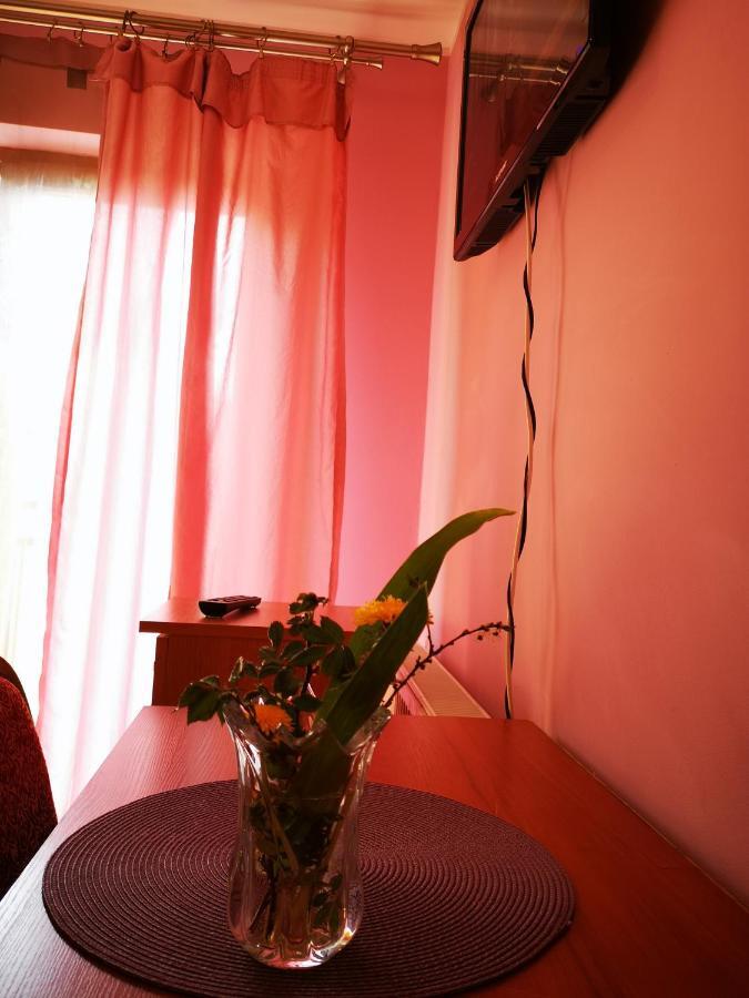 Agroturystyka W Dolinie Narwi Łomża Dış mekan fotoğraf
